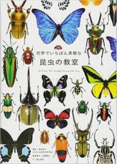 世界でいちばん素敵な昆虫の教室の通販 須田 研司 近藤 雅弘 紙の本 Honto本の通販ストア