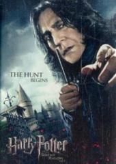 ハリー ポッターと死の秘宝ｐａｒｔ１キャラクターマグネットの通販 紙の本 Honto本の通販ストア