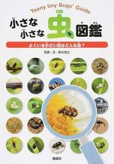 小さな小さな虫図鑑 よくいる小さい虫はどんな虫？の通販/鈴木知之