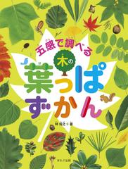 五感で調べる木の葉っぱずかんの通販 林 将之 紙の本 Honto本の通販ストア