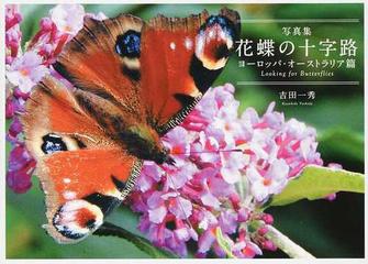 花蝶の十字路 ｌｏｏｋｉｎｇ ｆｏｒ ｂｕｔｔｅｒｆｌｉｅｓ 写真集 ヨーロッパ オーストラリア篇の通販 吉田 一秀 紙の本 Honto本の 通販ストア