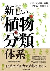 階層分類体系