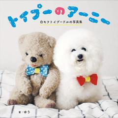 トイプーのアーニー 白モフトイプードルの写真集の通販 ゆう 紙の本 Honto本の通販ストア