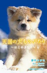 天国の犬ものがたり はじめましての通販/堀田 敦子/藤咲 あゆな 小学館