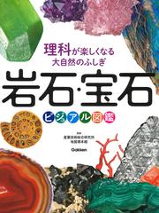 岩石 宝石ビジュアル図鑑 理科が楽しくなる大自然のふしぎの通販 産業技術総合研究所地質標本館 市村 均 紙の本 Honto本の通販ストア