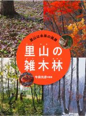 里山は未来の風景 ３ 里山の雑木林の通販 今森 光彦 紙の本 Honto本の通販ストア