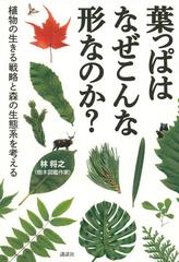 葉っぱはなぜこんな形なのか 植物の生きる戦略と森の生態系を考えるの通販 林将之 紙の本 Honto本の通販ストア