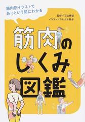 筋肉のしくみ図鑑 筋肉別イラストであっという間にわかるの通販 石山 修盟 かたおか 朋子 紙の本 Honto本の通販ストア