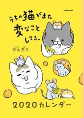 うちの猫がまた変なことしてる カレンダーの通販 卵山玉子 紙の本 Honto本の通販ストア