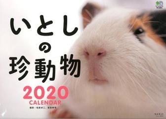 いとしの珍動物カレンダー 壁掛け の通販 松原卓二 宮田幸司 紙の本 Honto本の通販ストア