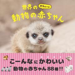 世界のかわいい動物の赤ちゃんの通販 大渕 希郷 パイインターナショナル 紙の本 Honto本の通販ストア