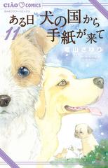 ある日犬の国から手紙が来て １１ ちゃおコミックス の通販 松井雄功 竜山さゆり ちゃおコミックス コミック Honto本の通販ストア