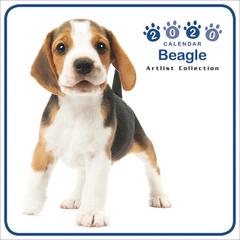 ミニ ビーグルの通販 紙の本 Honto本の通販ストア