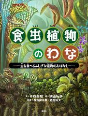 食虫植物のわな 虫を食べるふしぎな植物のおはなし