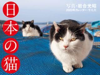 年カレンダー 日本の猫の通販 岩合光昭 紙の本 Honto本の通販ストア