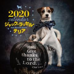 年 大判カレンダー ジャック ラッセル テリアの通販 中村陽子 紙の本 Honto本の通販ストア