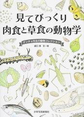 見てびっくり肉食と草食の動物学 ゲッチョ先生の動物コレクションの通販 盛口 満 紙の本 Honto本の通販ストア