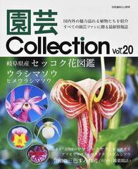 園芸ｃｏｌｌｅｃｔｉｏｎ ｖｏｌ ２０ 岐阜県産セッコク花図鑑 ウラシマソウ ヒメウラシマソウの通販 紙の本 Honto本の通販ストア