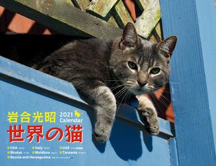 21岩合光昭 世界の猫カレンダーの通販 岩合光昭 紙の本 Honto本の通販ストア