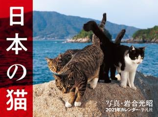 21年カレンダー 日本の猫の通販 岩合光昭 紙の本 Honto本の通販ストア