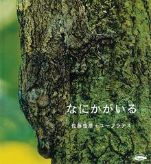 なにかがいるの通販 佐藤雅彦 ユーフラテス 紙の本 Honto本の通販ストア