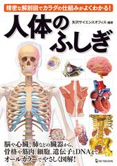 人体のふしぎ 精密な解剖図でカラダの仕組みがよくわかる の通販 矢沢サイエンスオフィス 紙の本 Honto本の通販ストア