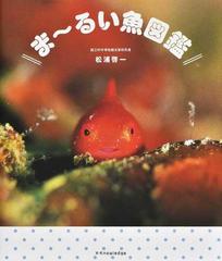 ま るい魚図鑑の通販 松浦 啓一 紙の本 Honto本の通販ストア