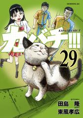 カバチ カバチタレ ３ 29 漫画 の電子書籍 無料 試し読みも Honto電子書籍ストア