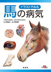 イラストでみる馬の病気の通販 ｍａｒｔａ ｂａｒｂａ ｊｏｈｎ ｓｃｈｕｍａｃｈｅｒ 紙の本 Honto本の通販ストア