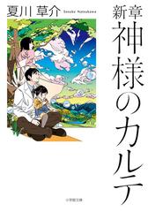 新章神様のカルテの通販 夏川草介 小学館文庫 紙の本 Honto本の通販ストア