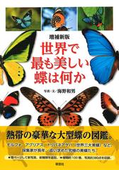 世界で最も美しい蝶は何か 増補新版の通販 海野和男 紙の本 Honto本の通販ストア