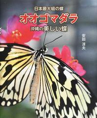 日本最大級の蝶オオゴマダラ 沖縄の美しい蝶の通販 安田 淳夫 紙の本 Honto本の通販ストア