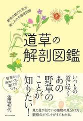 道草