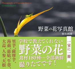 野菜の花写真館の通販 植松 國雄 紙の本 Honto本の通販ストア