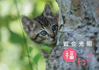 岩合光昭 福ねこカレンダー22 22年の通販 岩合光昭 紙の本 Honto本の通販ストア