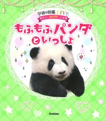 もふもふパンダといっしょの通販 今泉忠明 神戸万知 紙の本 Honto本の通販ストア