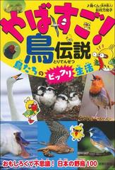やばすご 鳥伝説 鳥たちのビックリ生活の通販 鳥くん 松村 万知子 紙の本 Honto本の通販ストア