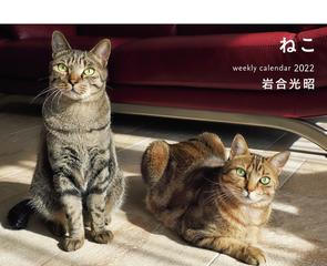 22 岩合光昭ねこ Weekly Calendarの通販 岩合光昭 岩合光昭 紙の本 Honto本の通販ストア