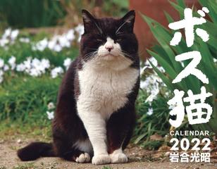 ボス猫カレンダー22の通販 岩合光昭 紙の本 Honto本の通販ストア