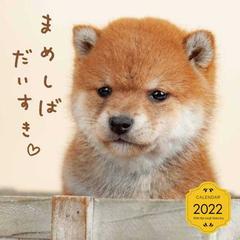 まめしばだいすきカレンダー22の通販 小川晃代 湯沢佑介 紙の本 Honto本の通販ストア