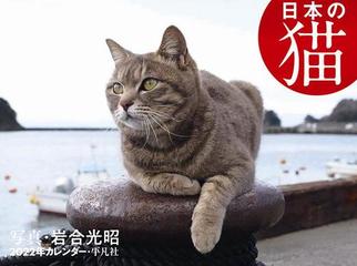 22年カレンダー 日本の猫の通販 岩合 光昭 紙の本 Honto本の通販ストア