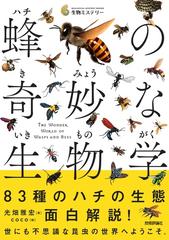 蜂の奇妙な生物学 １冊まるごとハチの本！の通販/光畑 雅宏 - 紙の本