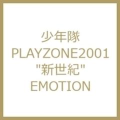 PLAYZONE2001