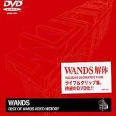 WANDS　解体　BEST OF WANDS VIDEO HISTORY DVD
