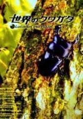 世界のクワガタ [DVD] www.cleanlineapp.com