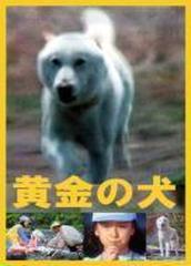 黄金の犬 DVD-BOX【DVD】 4枚組