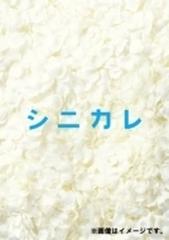 シニカレ完全版 ブルーレイBOX(仮)【ブルーレイ】 4枚組 [AVXF62347 ...