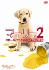 マーリー2 世界一おバカな犬のはじまりの物語 Dvd Fxbng504 Honto本の通販ストア