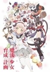 魔法少女育成計画 DVD 第4巻 ＜完全生産限定盤＞【DVD】 [VTZF88