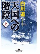 天国への階段（上）(幻冬舎文庫)